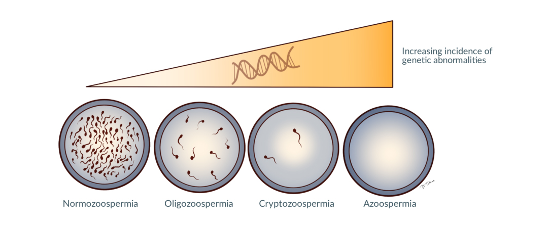 Sexologist