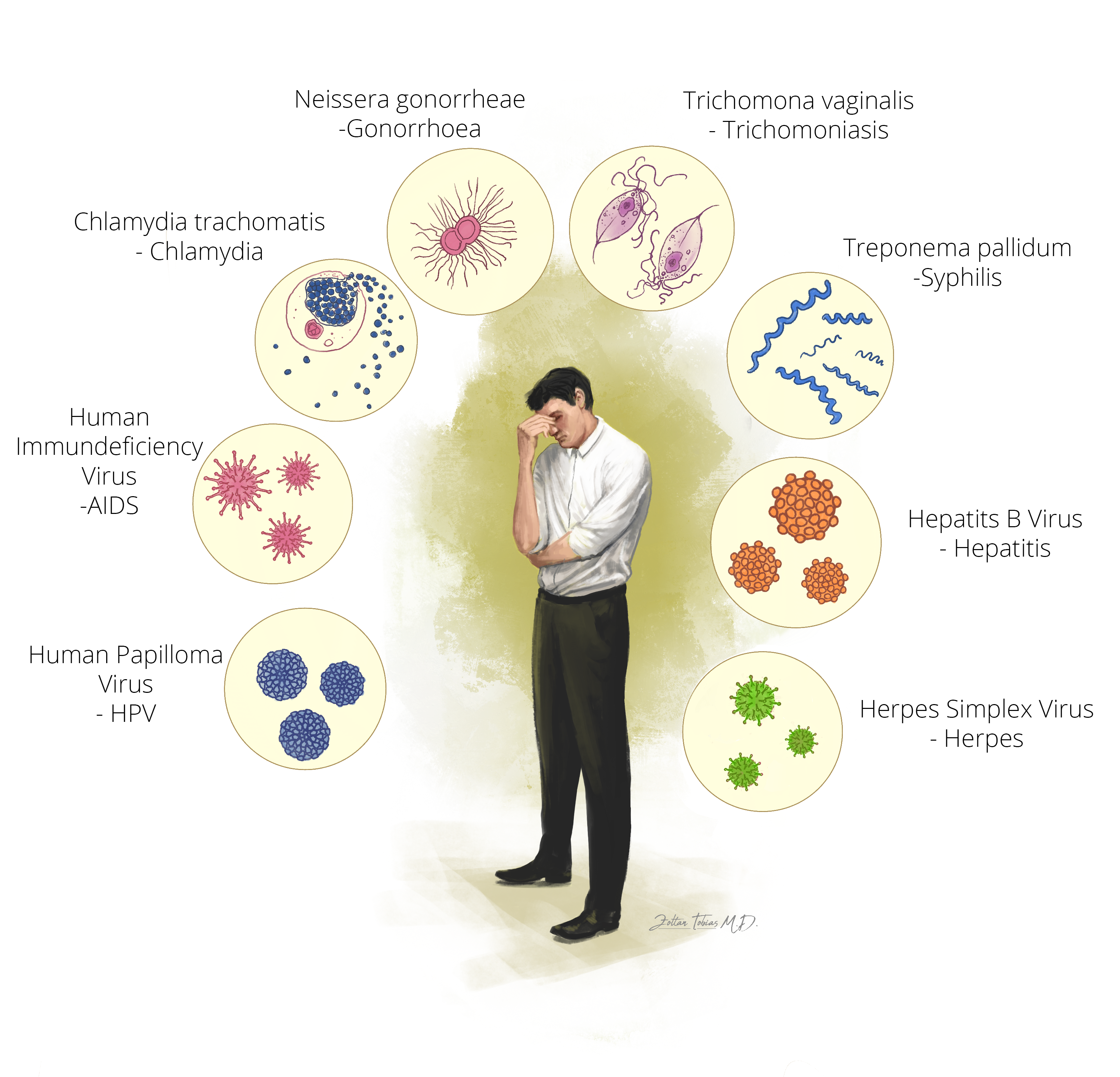 Sexually transmitted infections Andrology Awareness Europe